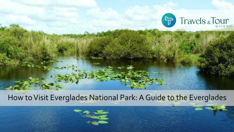 How to Visit Everglades National Park_ A Guide to the Everglades