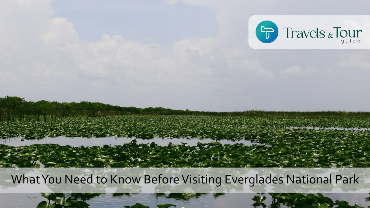 What You Need to Know Before Visiting Everglades National Park