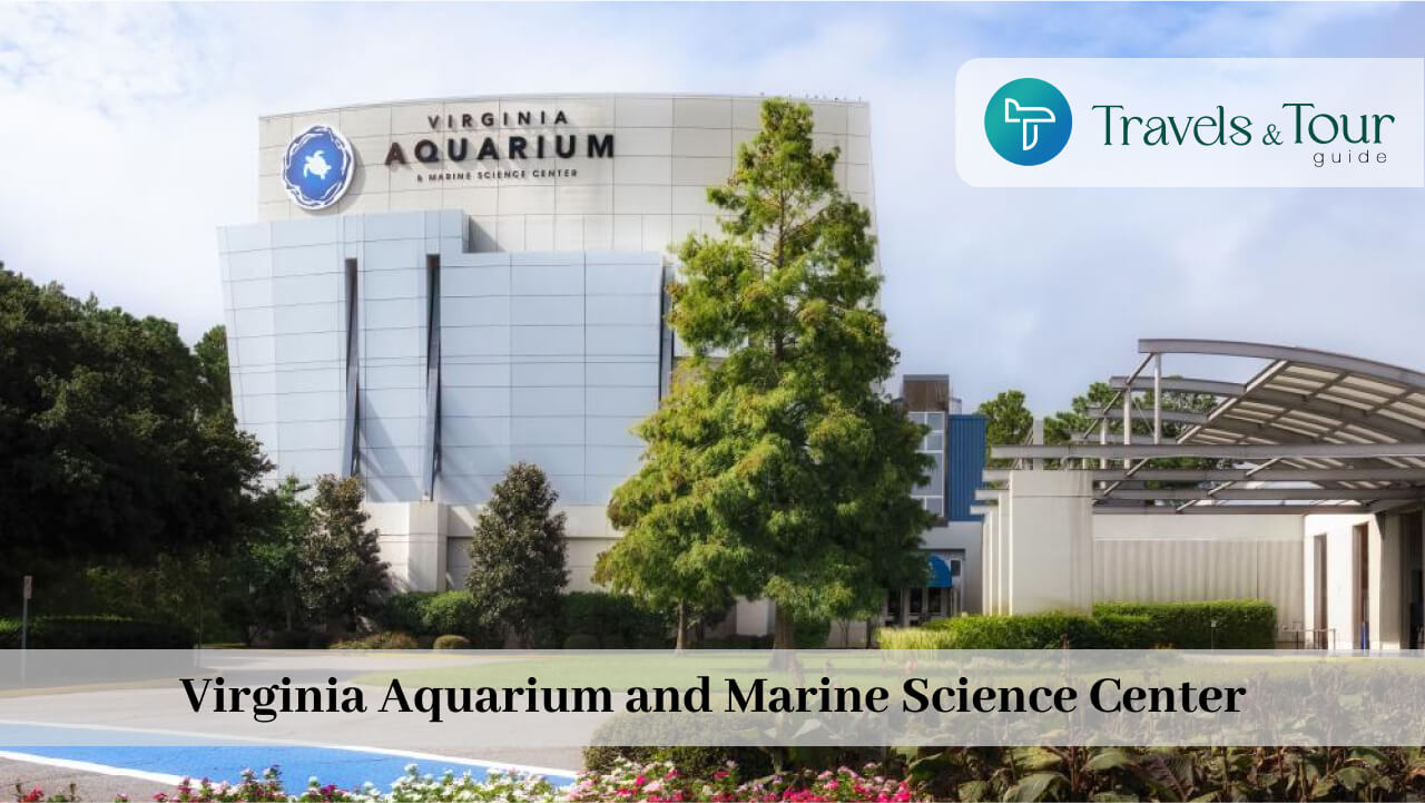 Virginia Aquarium and Marine Science Center