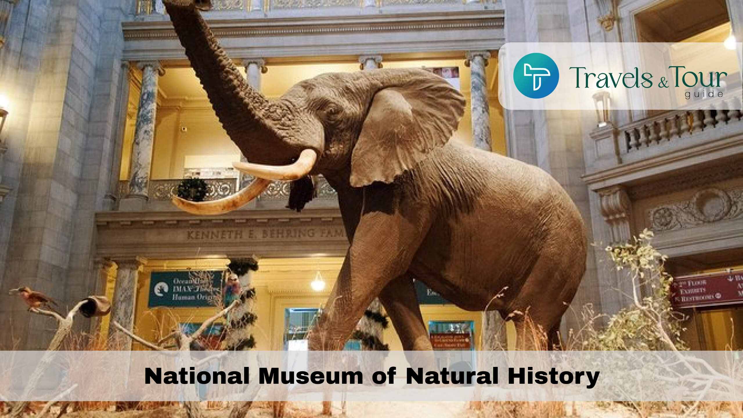 National Museum of Natural History