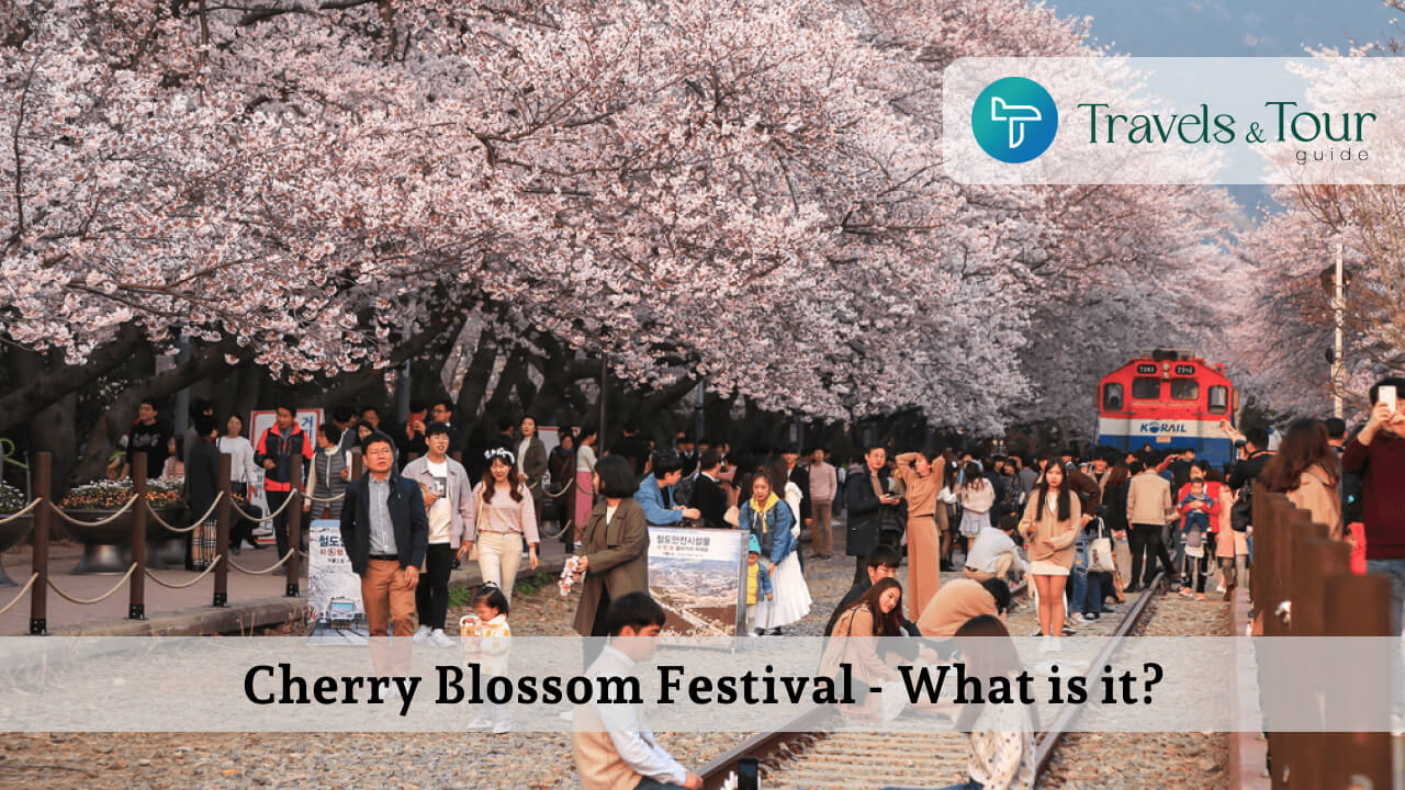 Cherry Blossom Festival